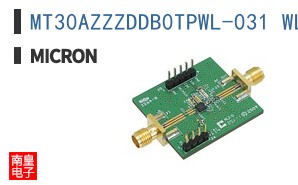MT30AZZZDDB0TPWL-031 WL.19R